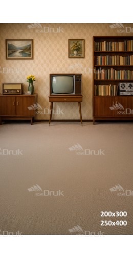 Tło fotograficzne „Retro salon z biblioteczką i klasycznym telewizorem” | 3827
